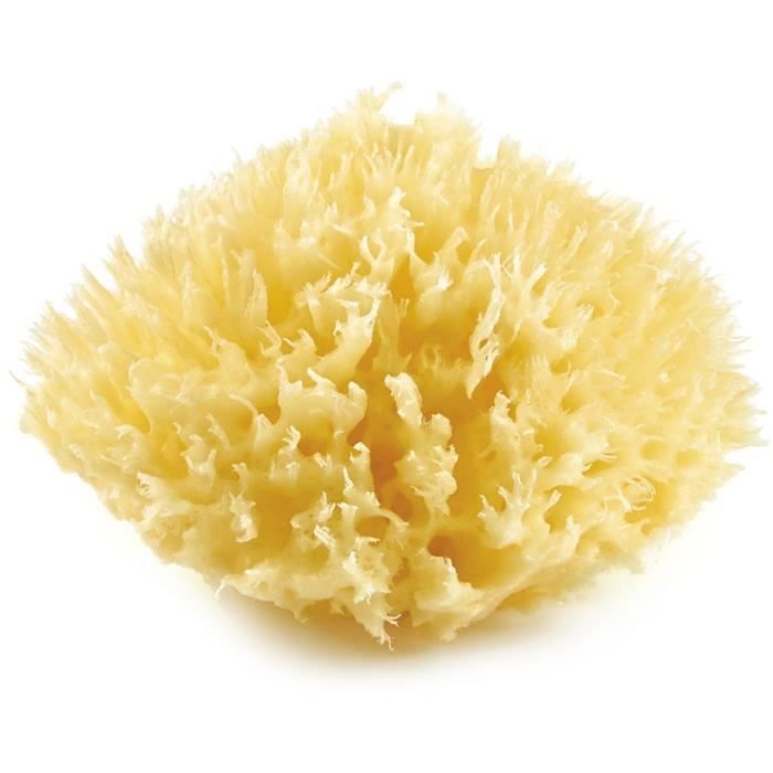 THERMOBABY Sea Sponge - Honeycomb - Natural, Durable, Soft - Yellow