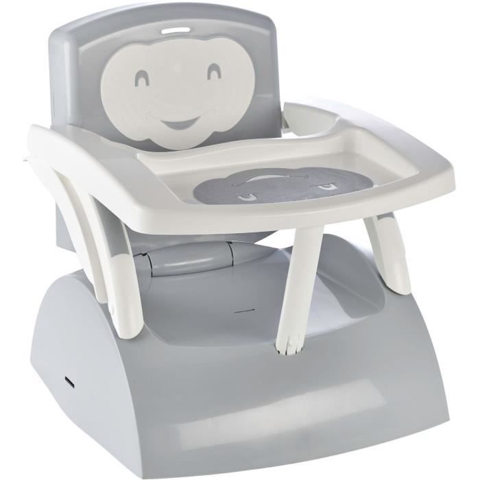THERMOBABY - 2-in-1 Booster Seat, Charming Grey