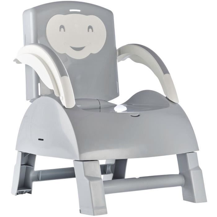 THERMOBABY - 2-in-1 Booster Seat, Charming Grey