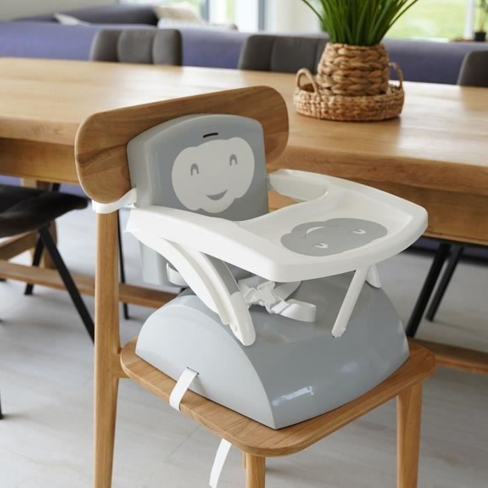 THERMOBABY - 2-in-1 Booster Seat, Charming Grey