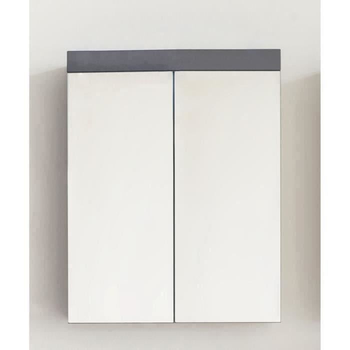 Bathroom Cabinet - Vanity Unit - Mirror - 2 Doors - Grey - W60 x D17 x H77 cm - AMANDA H77cm