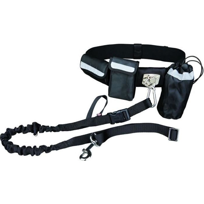 Waist Belt with Leash - Suitable for Dogs up to 40 kg - Durable Nylon