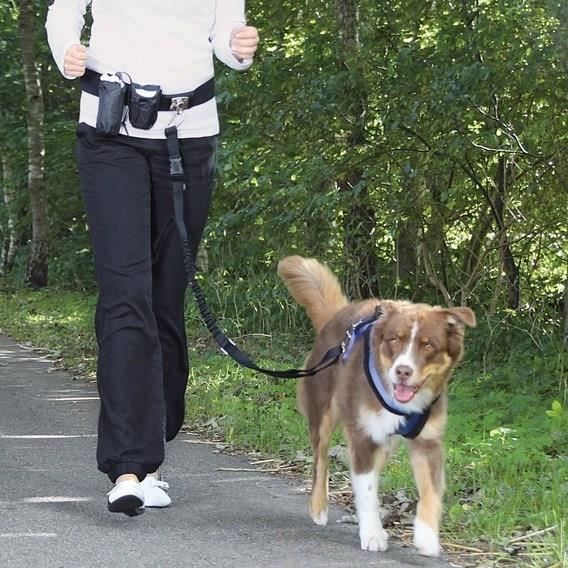 Waist Belt with Leash - Suitable for Dogs up to 40 kg - Durable Nylon