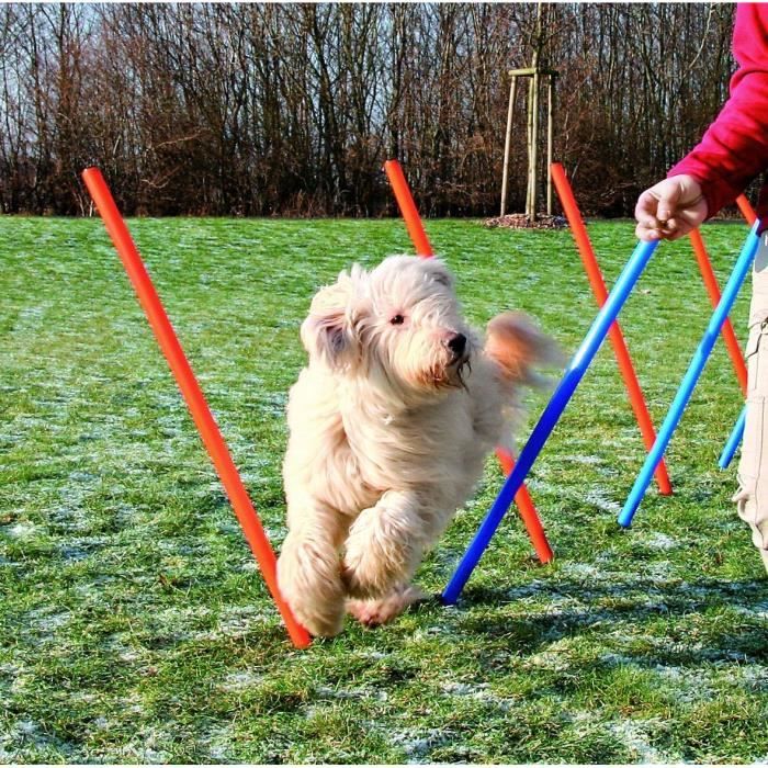TRIXIE Slalom Poles for Agility Courses - 115 cm - 12 pcs - Plastic