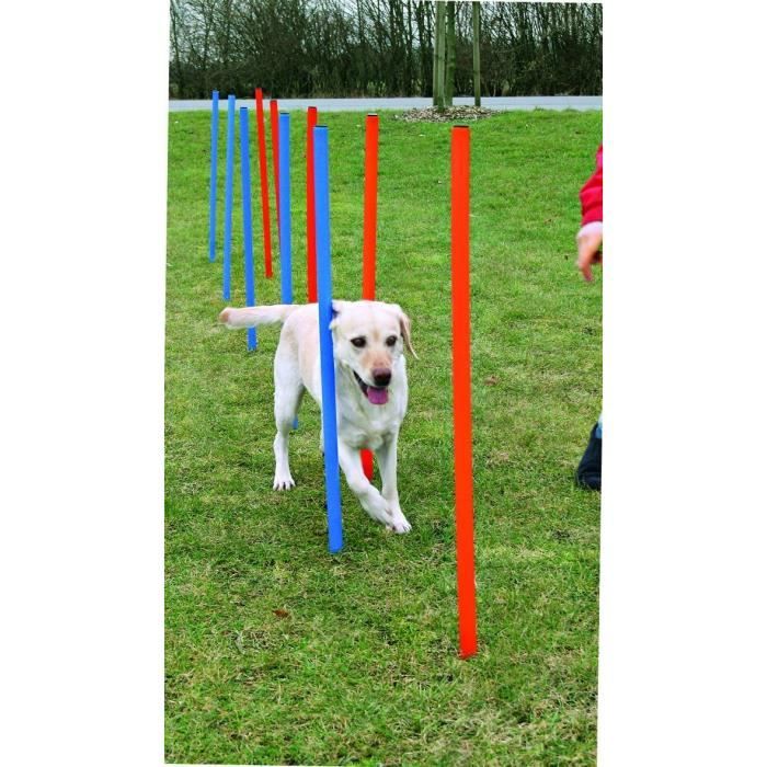 TRIXIE Slalom Poles for Agility Courses - 115 cm - 12 pcs - Plastic