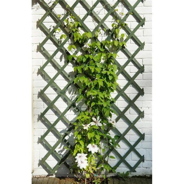 Nature Expandable Wooden Trellis 50x150 cm FSC 18x6 mm Slats Green