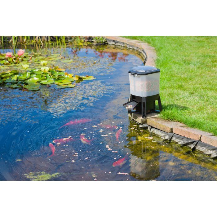 Distributeur automatique de nourriture pour poissons - UBBINK - Solaire - Réservoir 6 L - 1 a 6 nourrissages/jour - Portée 1 a 3 m
