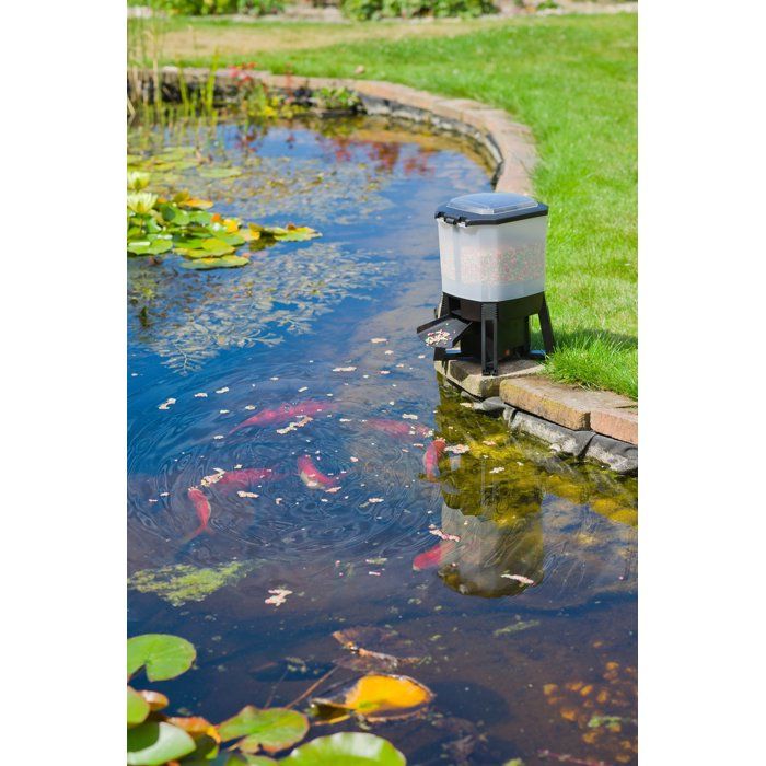 Distributeur automatique de nourriture pour poissons - UBBINK - Solaire - Réservoir 6 L - 1 a 6 nourrissages/jour - Portée 1 a 3 m
