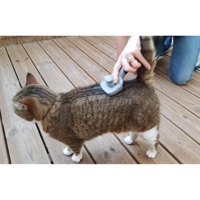 VETOCANIS Grooming Brush - Self-Cleaning Slicker Brush for Cats - Long Hair