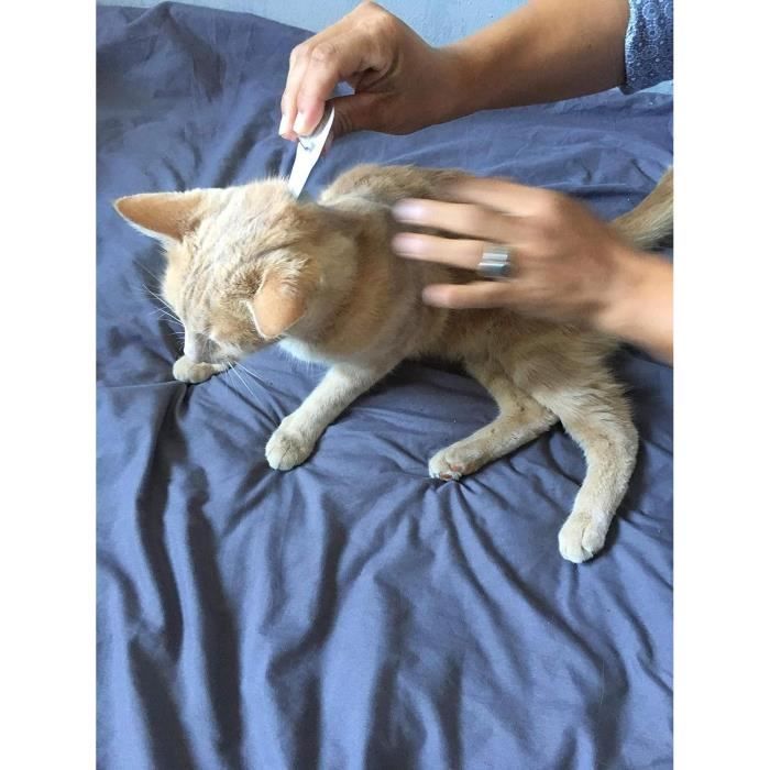 VETOCANIS Action Duo Pipette - Flea and Tick Treatment for Cats