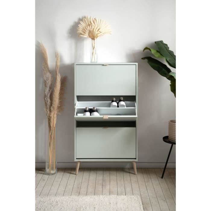 VIGO Shoe Cabinet - Green - 12 Pairs - W70 x D24 x H125 cm