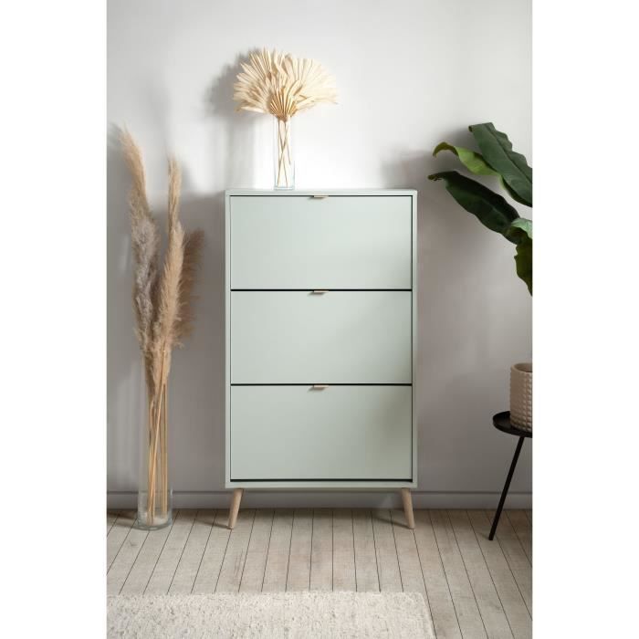 VIGO Shoe Cabinet - Green - 12 Pairs - W70 x D24 x H125 cm