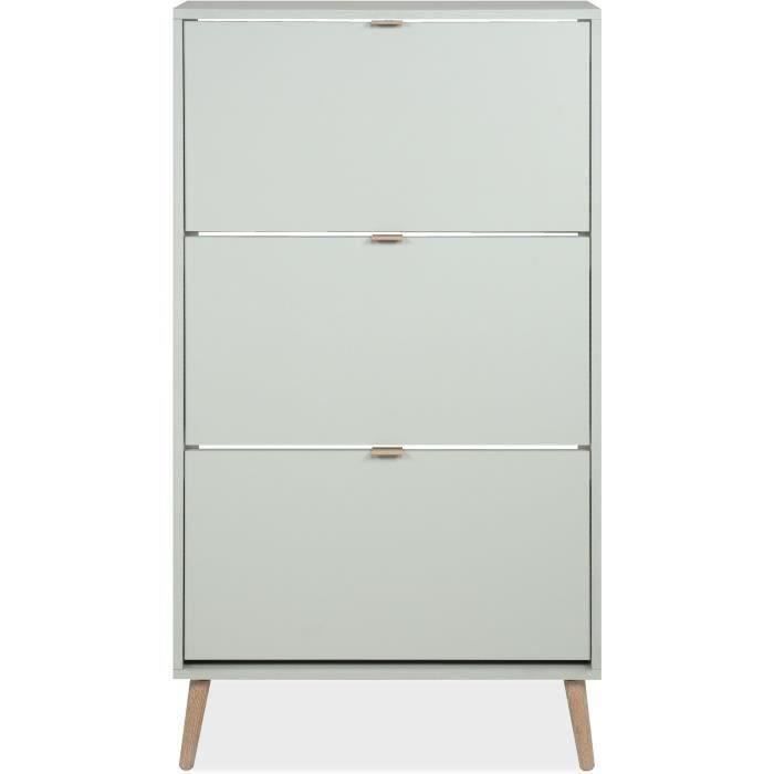 VIGO Shoe Cabinet - Green - 12 Pairs - W70 x D24 x H125 cm