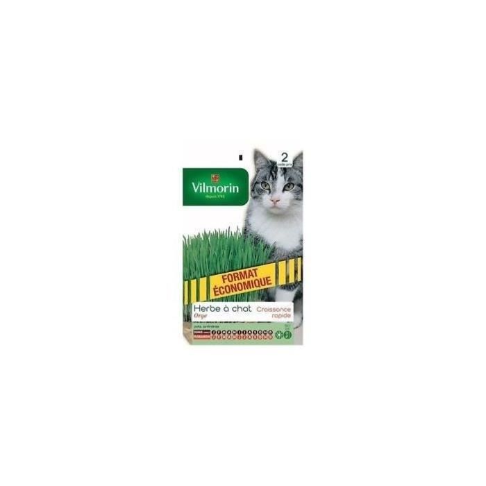 VILMORIN Catnip Seed Sachet Barley