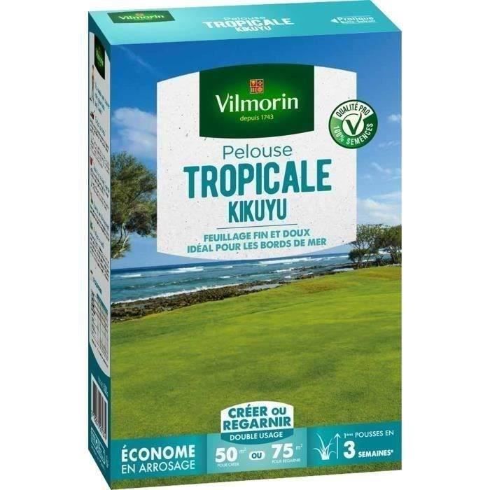 VILMORIN Coastal Grass Seeds - Tropical Kikuyu - 500 g