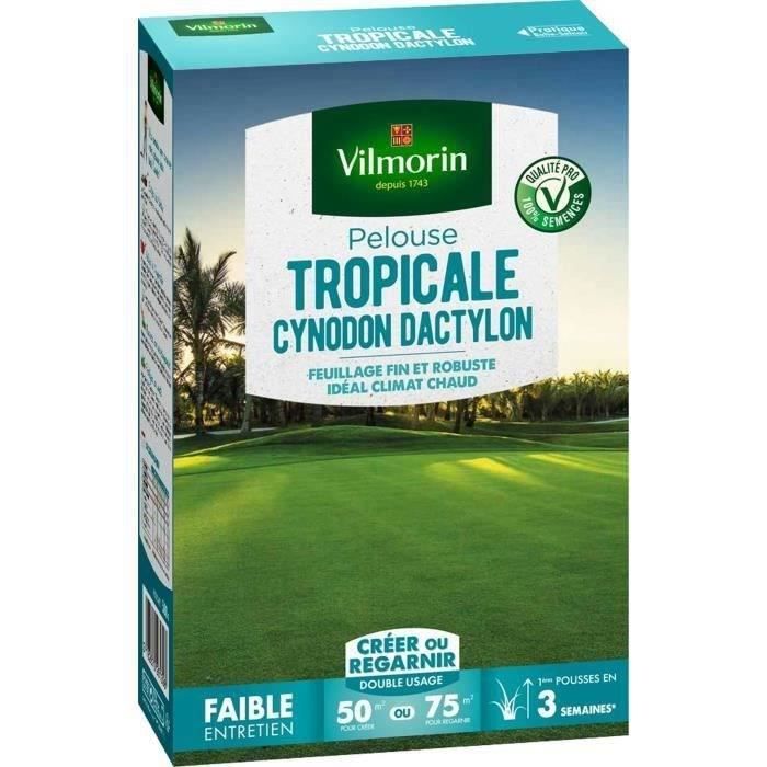 VILMORIN Lawn Seeds Tropical Cynodon Dactylon - 500 g - Ideal for Coastal Areas