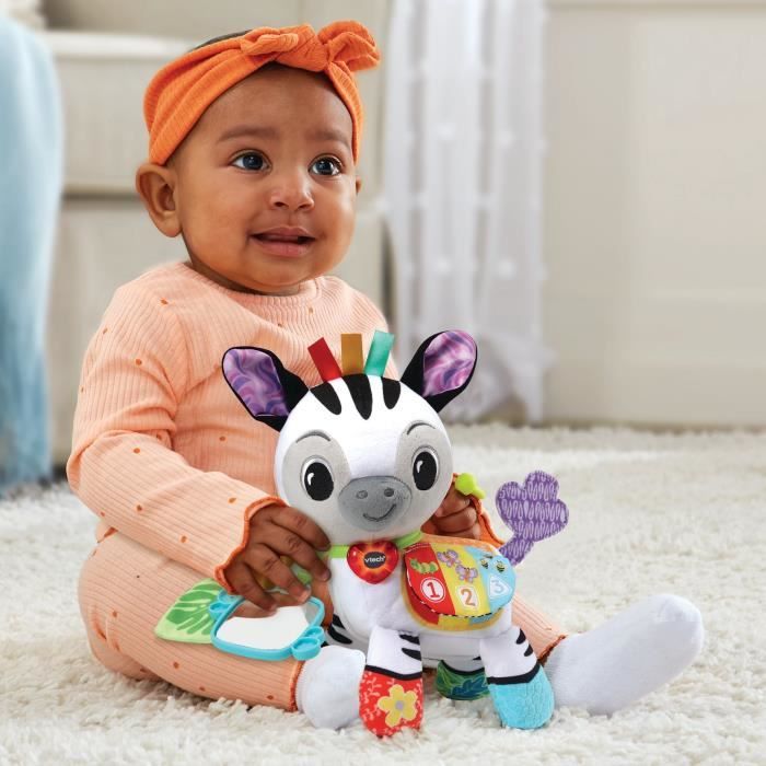VTECH BABY Timéo Small Activity Zebra Plush Toy, 3-24 Months