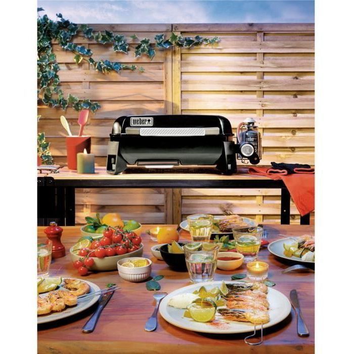 WEBER Premium Gas Griddle - SLATE - 43 cm - Cooking Surface: 43 x 41 cm - Black