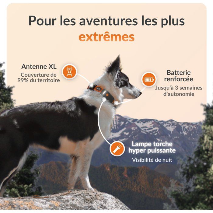 WEENECT GPS Dog Tracker - Dog XT - XL Antenna - Waterproof - Subscription Required