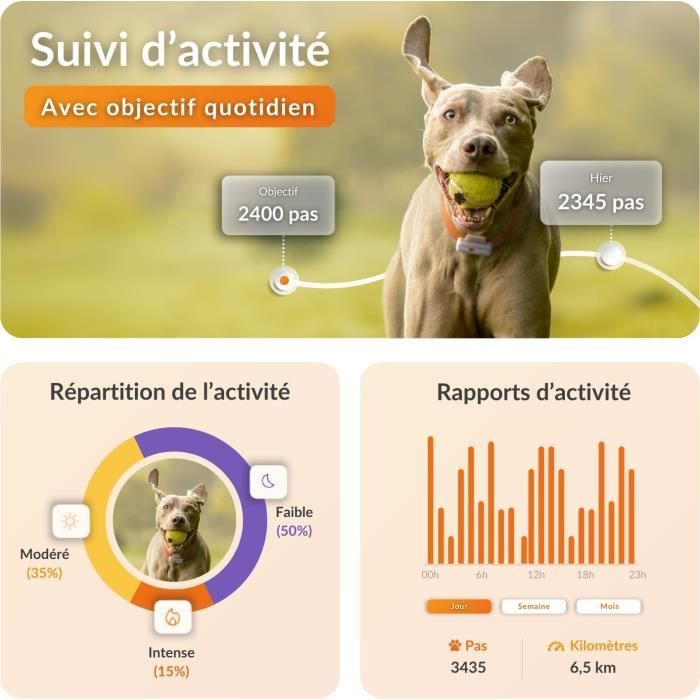 Traceur GPS pour Chien - Weenect XS (White Edition 2023)