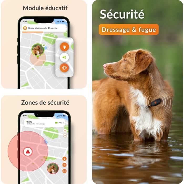 Weenect XS GPS Tracker for Dogs - Black Edition 2023