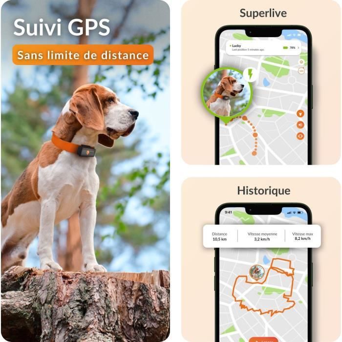 Weenect XS GPS Tracker for Dogs - Black Edition 2023