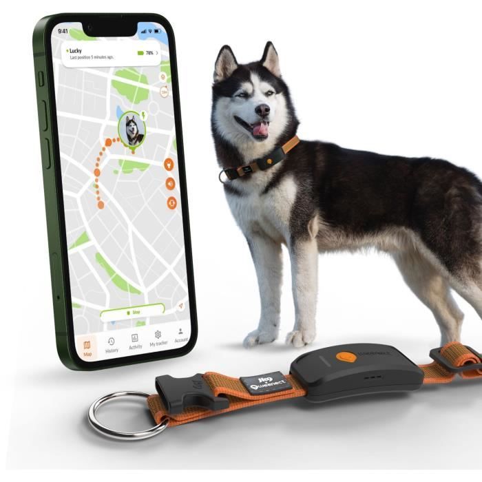 WEENECT Dog XT GPS Collar - XL Antenna - Waterproof - Julius-K9 - Orange