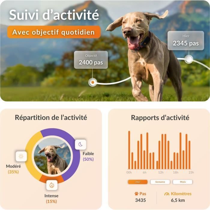 WEENECT Dog XT GPS Collar - XL Antenna - Waterproof - Julius-K9 - Orange