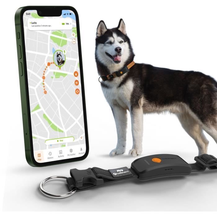 WEENECT Dog XT GPS Collar - XL Antenna - Waterproof - Julius-K9 - Black