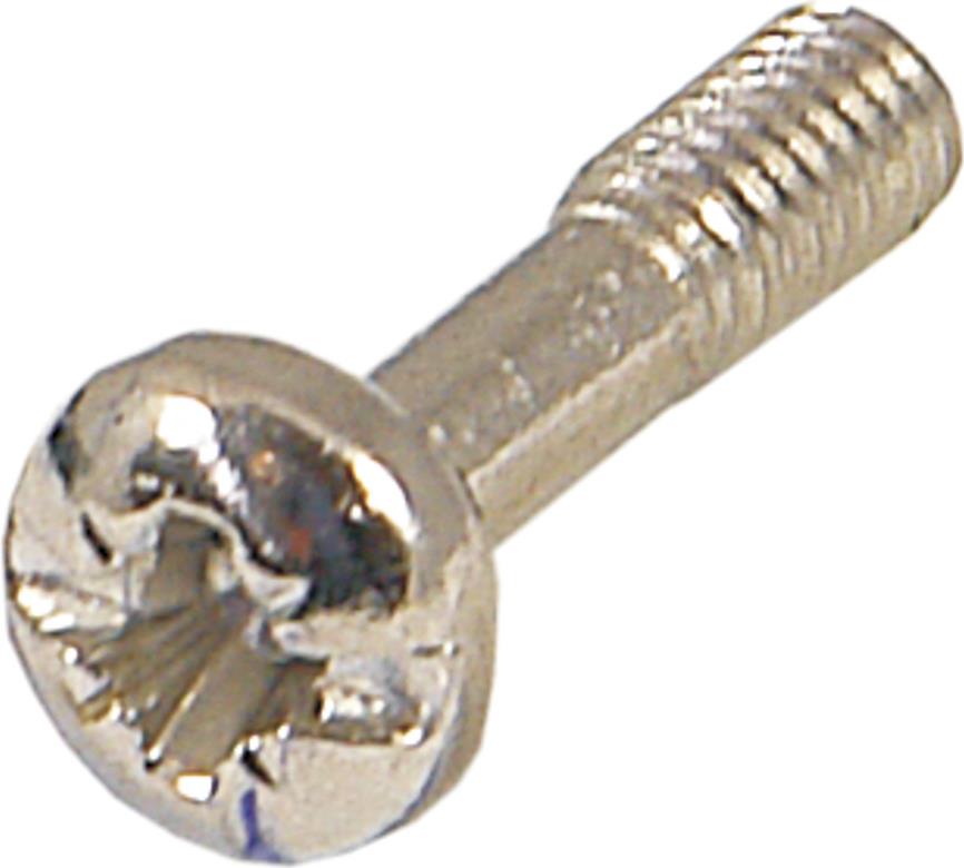 Schroff Pentair Techn. Neck screw 21100-748 VE100 (21100748)
