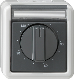 GIRA 032130 Time Switch, Grey (032130)