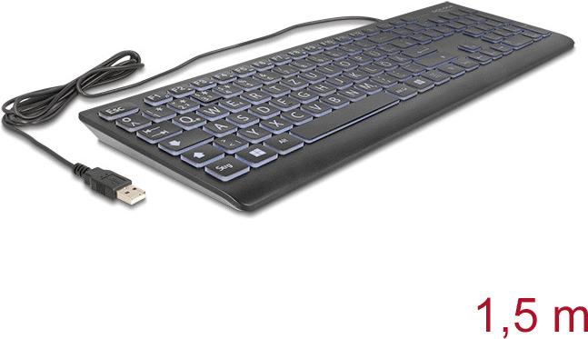 Delock USB Wired Keyboard 1.5 m Black with XXL Letters (12170)