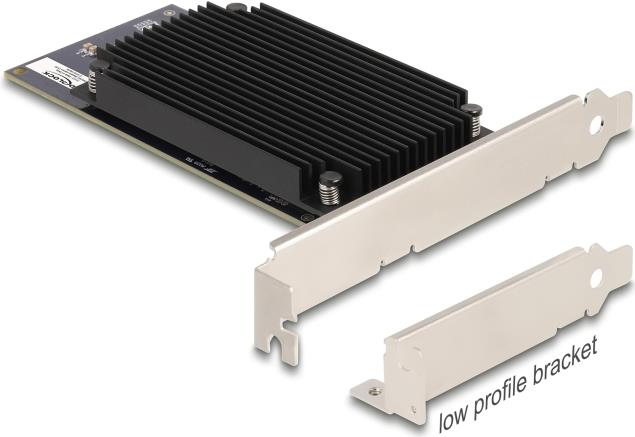 Delock Application Accelerator PCIe 3.0 x8 Plug-in Card Hailo-8 AI Processor