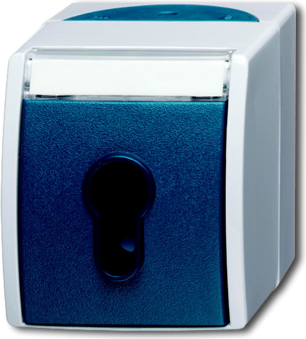 BUSCH-JAEGER Key Switch 2733SLW-53 Ocean (1101-0-0917)