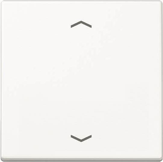A 1700 P WW Control button Standard symbols arrows (A1700PWW)