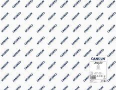 Canson Acrylic Drawing Paper, 650 x 1000 mm, 400 g/m², 10 Sheets, C.31067S001
