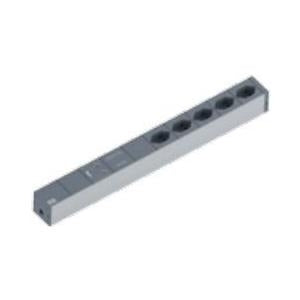 Bachmann IT PDU Basic - Verlängerungsschnur (Rack - einbaufähig) - Wechselstrom 230 V - Ausgangsbuchsen: 5 - 1U - 48,3 cm (19") - 2,0m - Schweiz - black (800.1261)