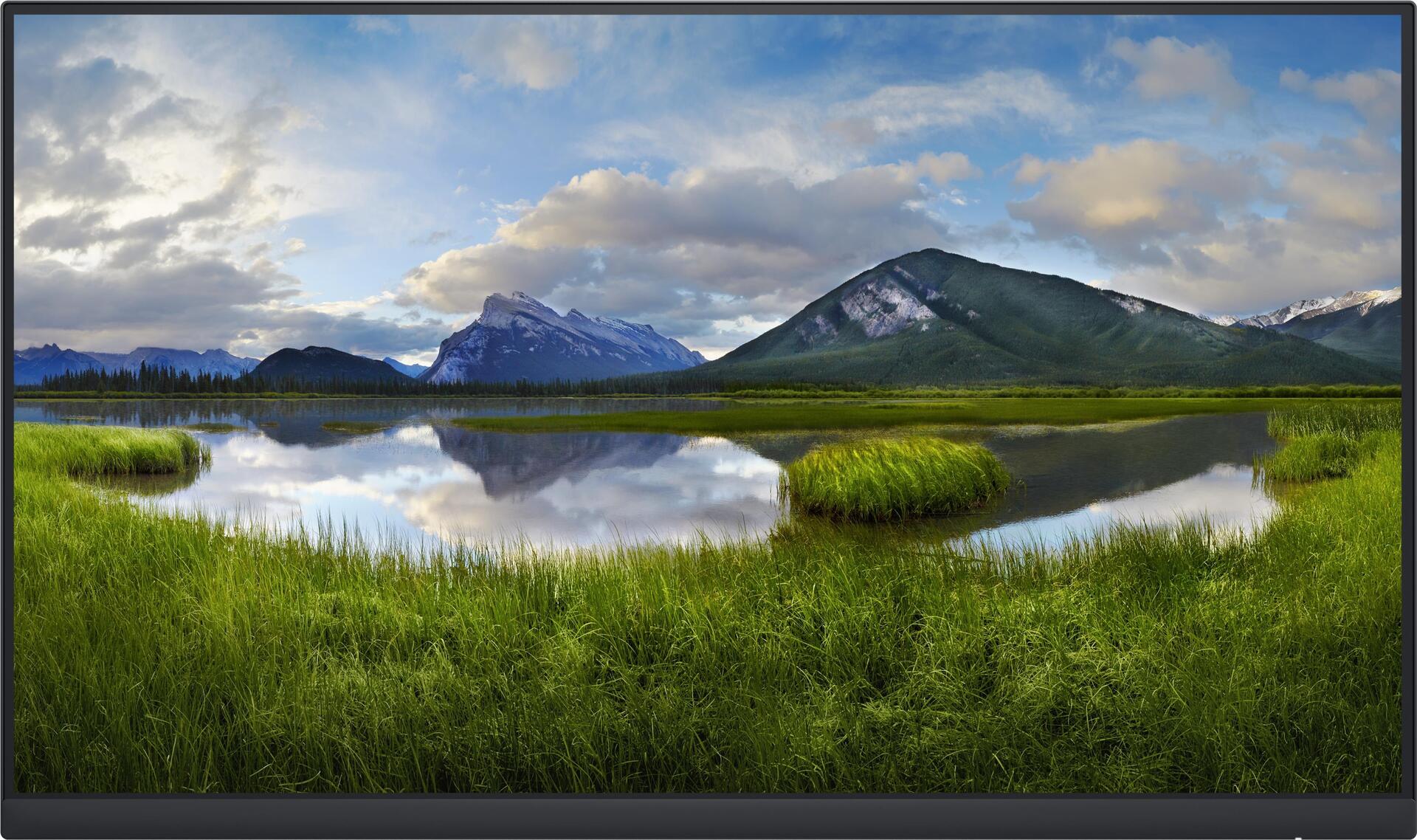 DELL P2422H 24" LED Monitor 1920 x 1080 Full HD IPS (DELL-P2422HWOS)