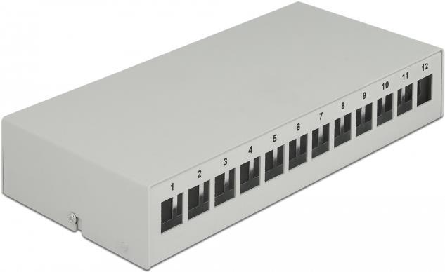 Delock - Leeres Keystone-Patchpanel - geeignet für Wandmontage, DIN schienenmontierbar - Grau - 12 Ports (43414)