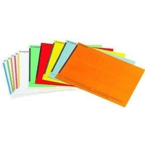 Dymo Labels for Hanging Files, Assorted 10 Sheets of 25 Labels