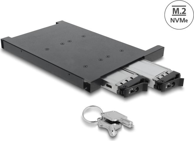 Delock Adapter for 2 x M.2 NVMe SSD SFF-8654 for 12.7 mm Slim ODD Bay 47138