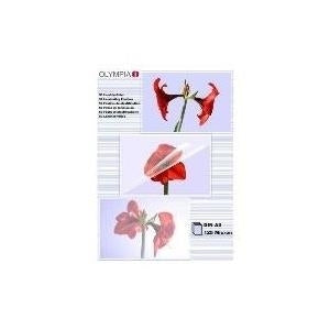 OLYMPIA Foil Set 125 Micron A3 50 pcs (9175)