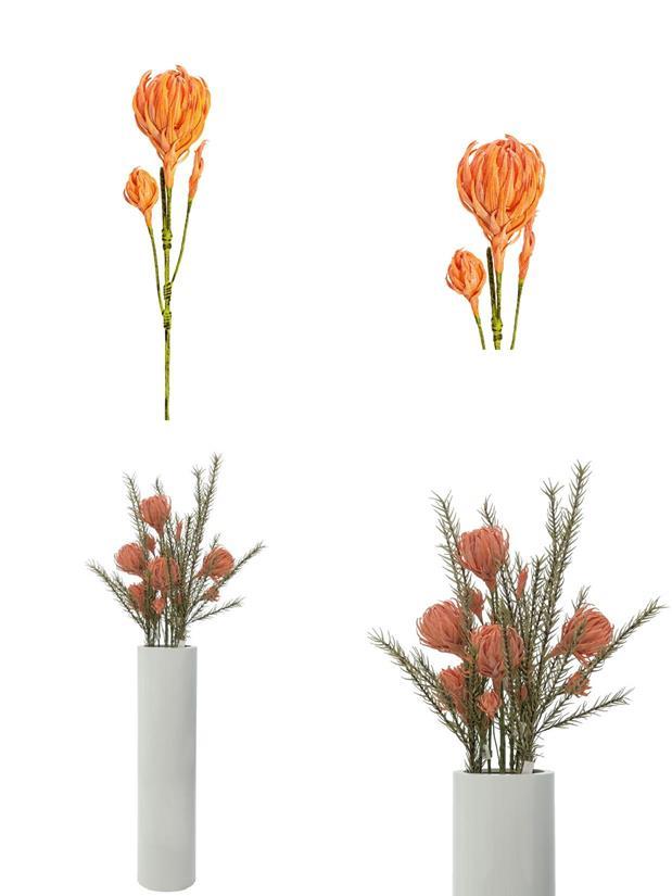 Pos 1 — EAN 4026397582673