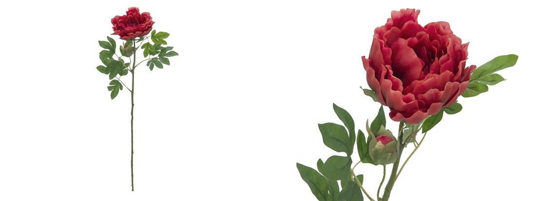 Pos 1 — EAN 4026397616880