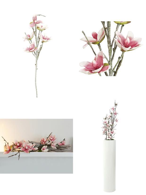 Pos 1 — EAN 4026397582833