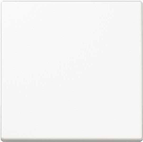 JUNG A1700WW Control Button Standard (A1700WW)