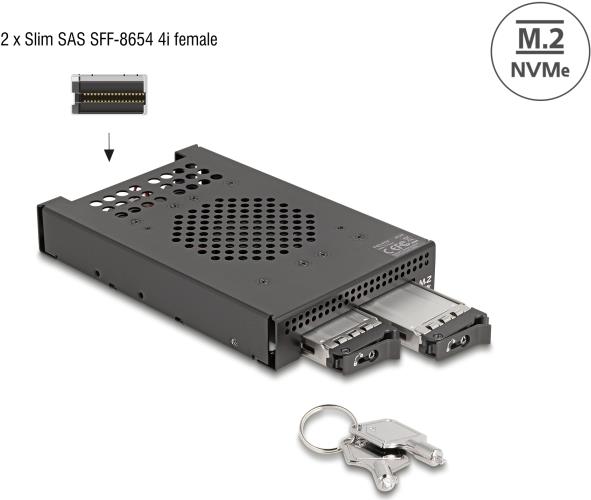 DeLOCK 3.5" Removable Drive Bay for 2 x M.2 NVMe SSDs - SFF-8654 Connector
