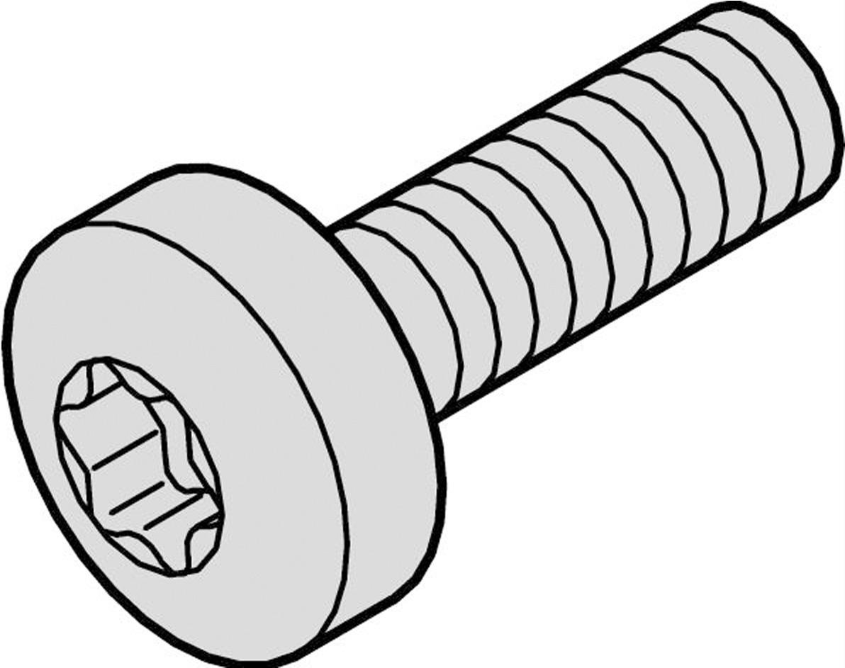 Schroff NTS MS LINSHR M4X10 Torx Pan Head Screw - 10 mm - Pack of 100