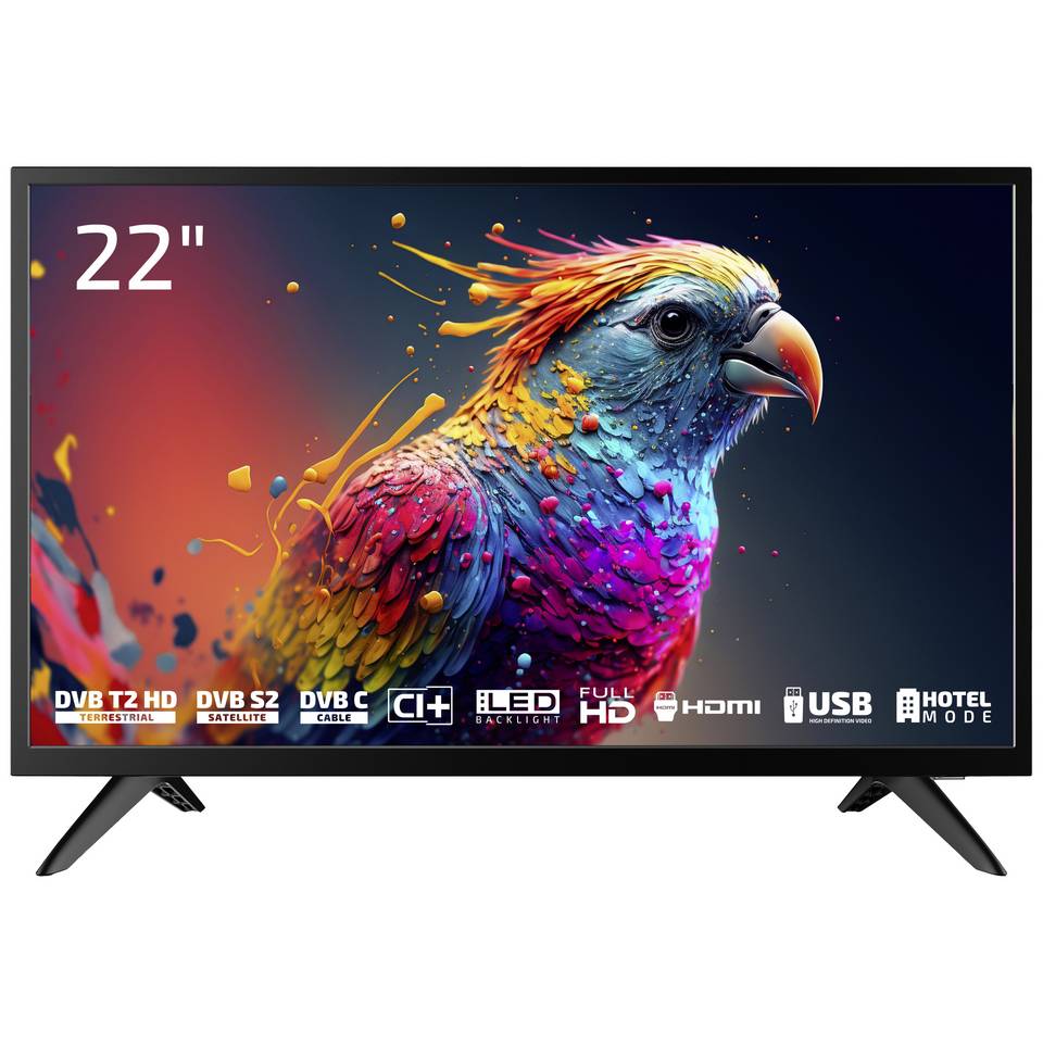 DYON Enter 22 Pro X2 - 22-inch Full HD LED TV - 56 cm - Black