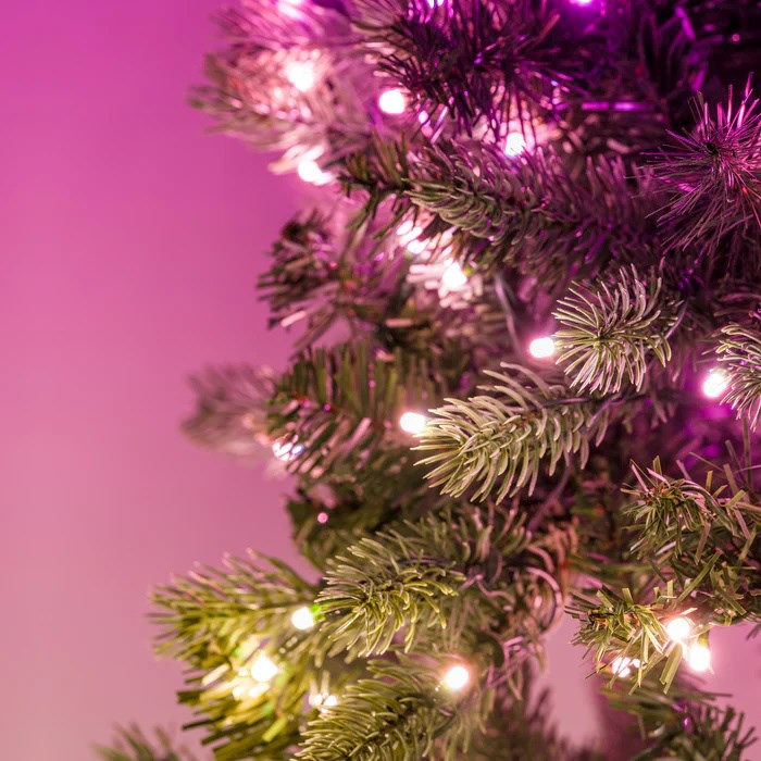 Twinkly Pre-Lit Wreath 50 RGB LED Green Wire Plug Type C